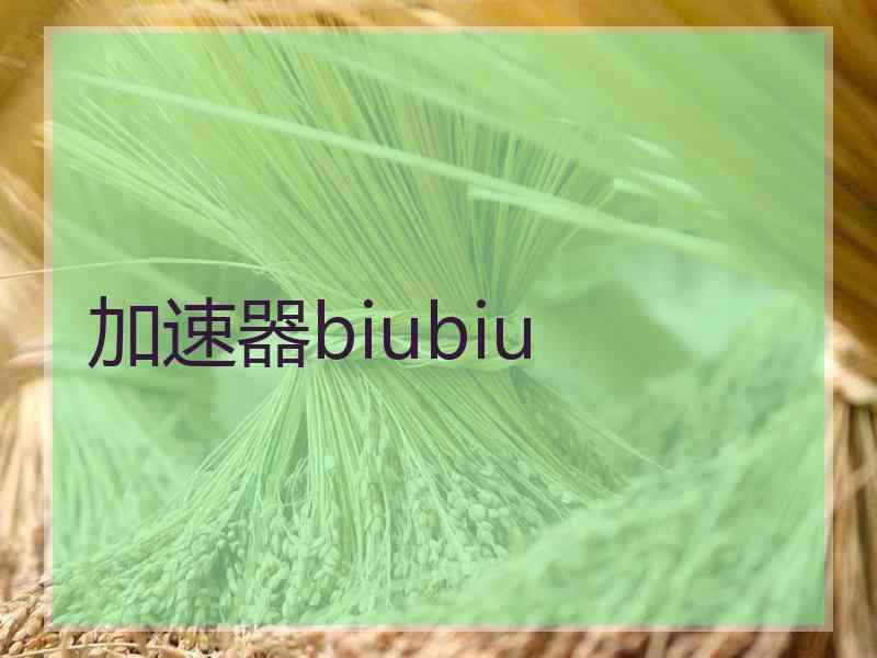 加速器biubiu