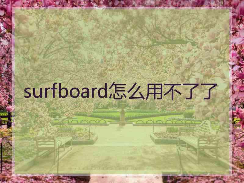 surfboard怎么用不了了