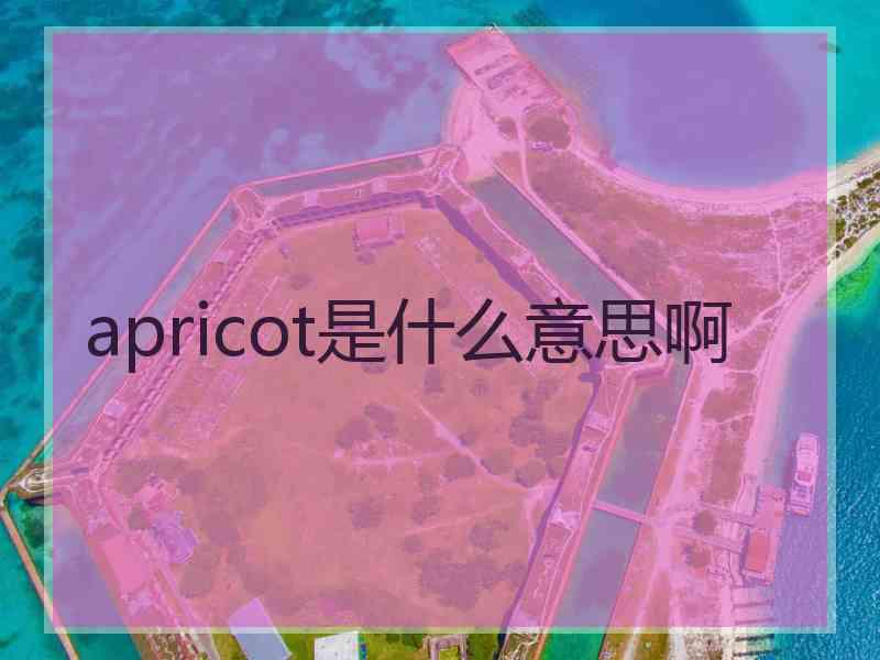 apricot是什么意思啊