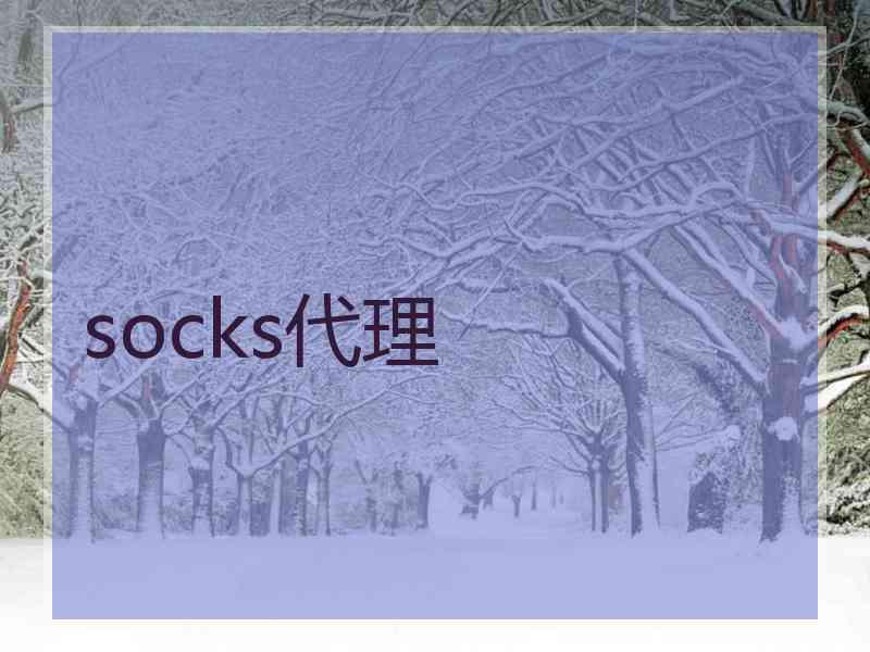 socks代理