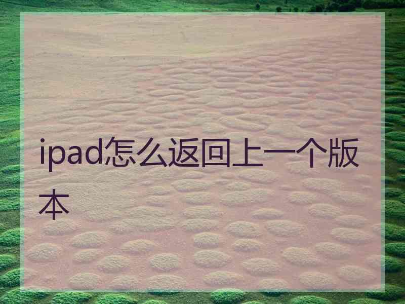 ipad怎么返回上一个版本