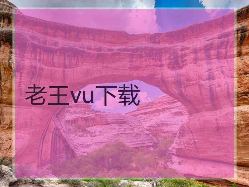 老王vu下载