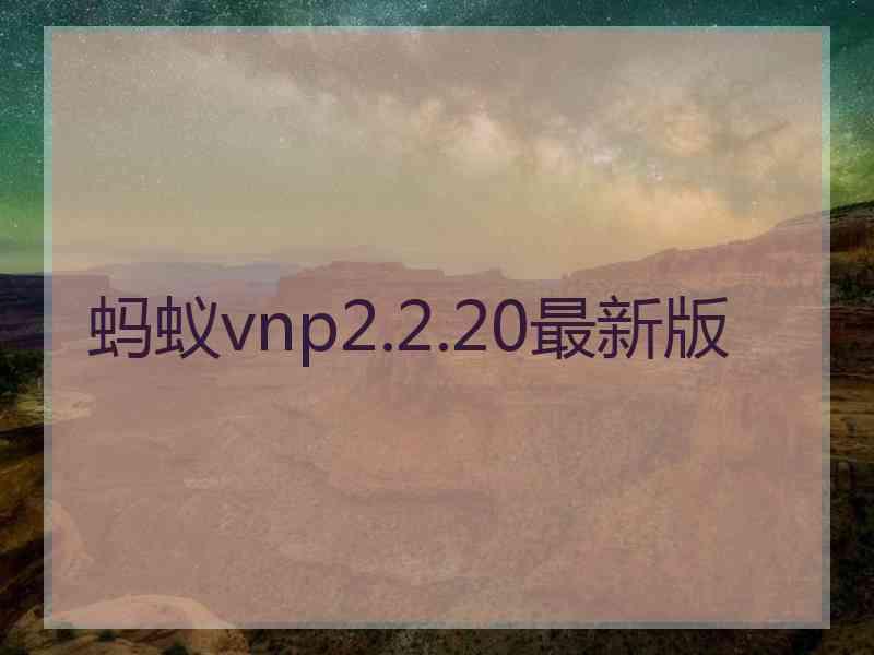 蚂蚁vnp2.2.20最新版