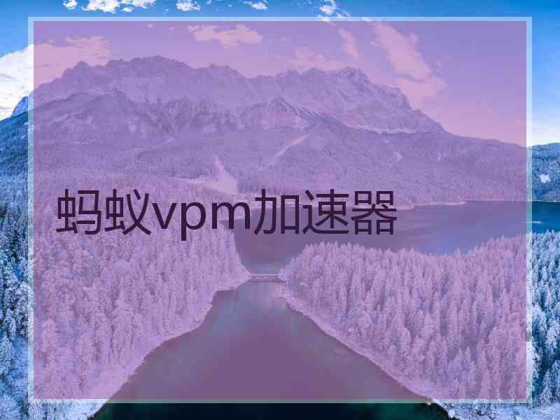 蚂蚁vpm加速器