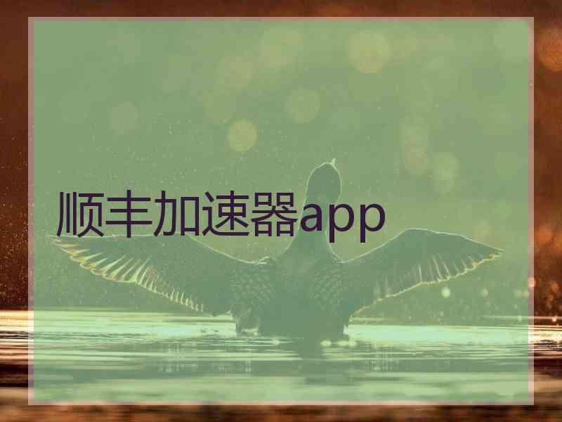 顺丰加速器app