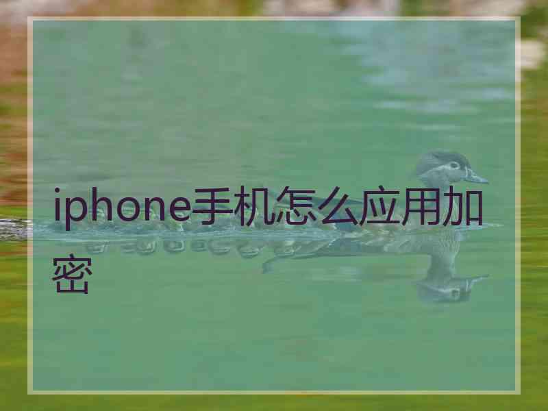 iphone手机怎么应用加密