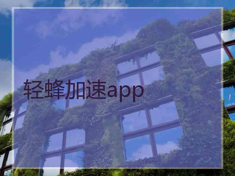 轻蜂加速app