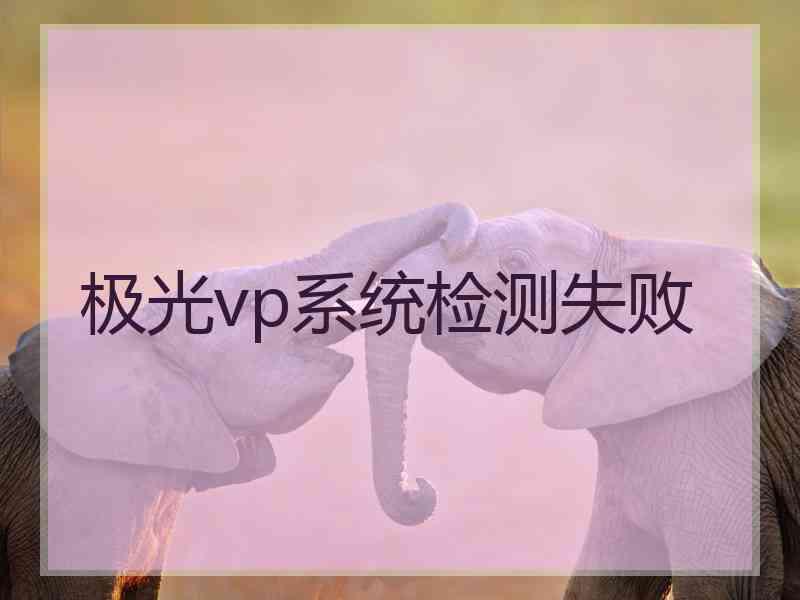 极光vp系统检测失败