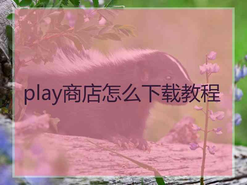 play商店怎么下载教程