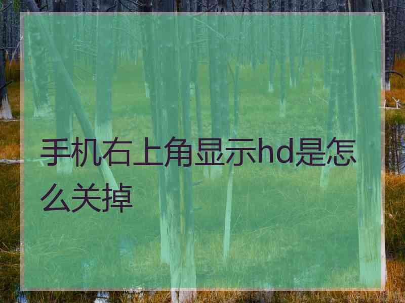 手机右上角显示hd是怎么关掉