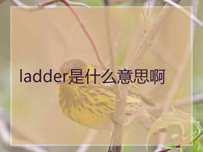 ladder是什么意思啊