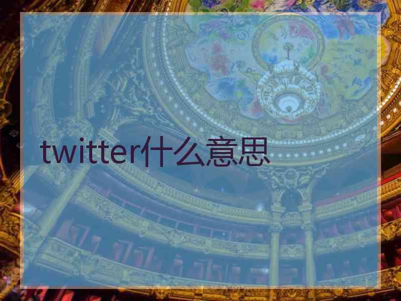 twitter什么意思