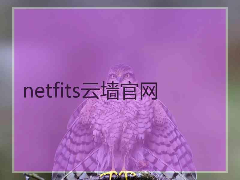 netfits云墙官网