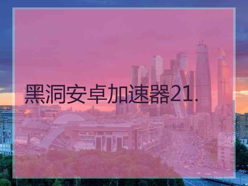 黑洞安卓加速器21.