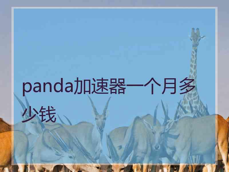 panda加速器一个月多少钱