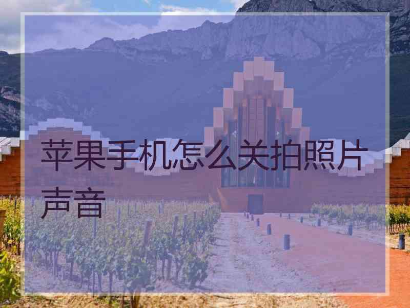 苹果手机怎么关拍照片声音