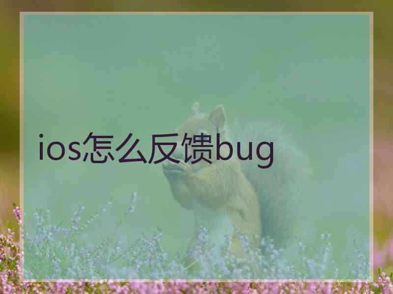 ios怎么反馈bug