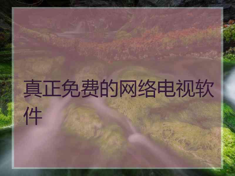 真正免费的网络电视软件