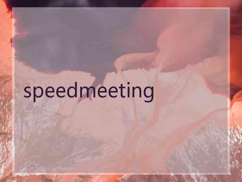 speedmeeting