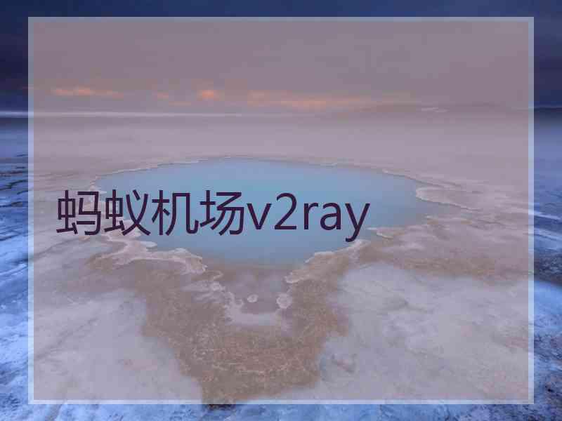 蚂蚁机场v2ray