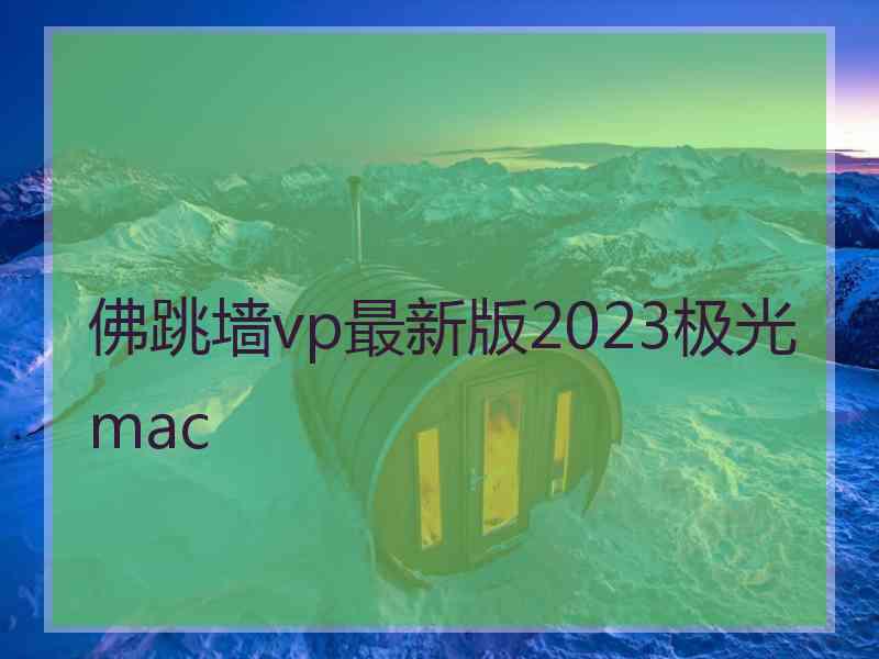 佛跳墙vp最新版2023极光 mac