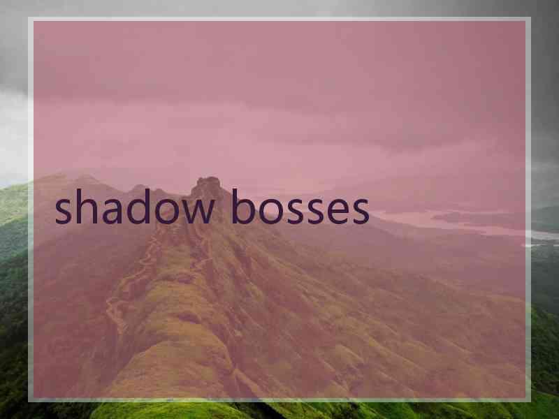 shadow bosses