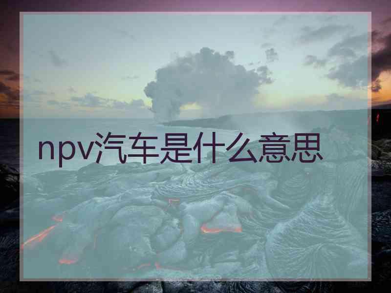 npv汽车是什么意思