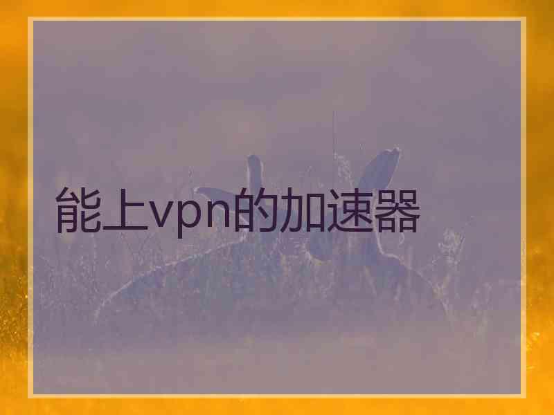 能上vpn的加速器