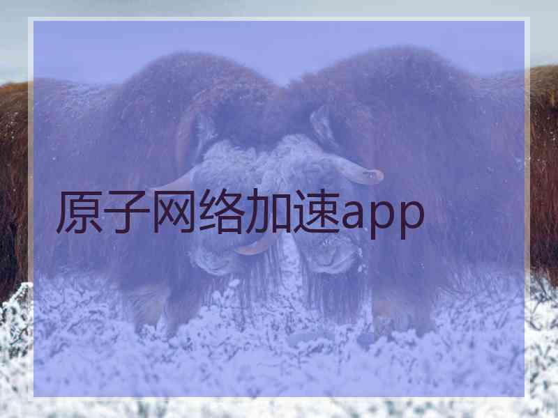 原子网络加速app