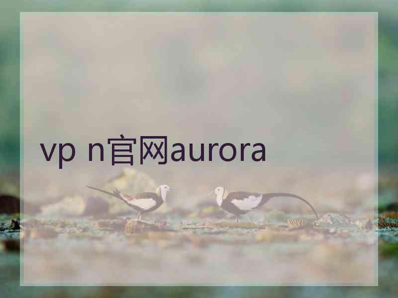 vp n官网aurora