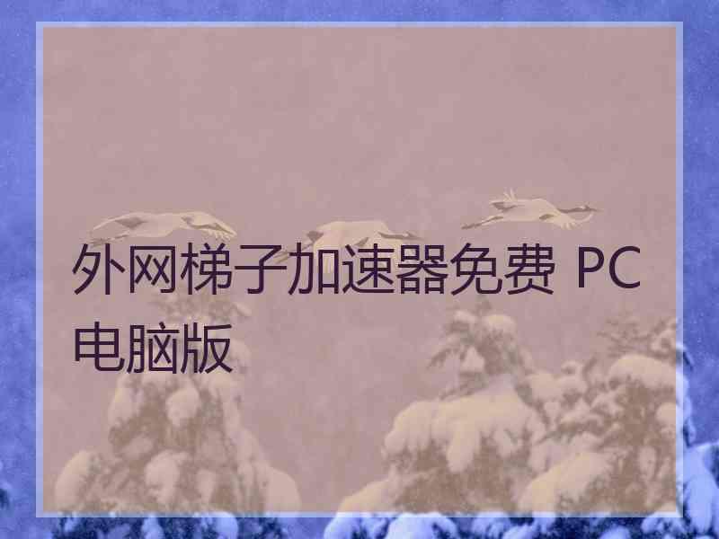 外网梯子加速器免费 PC电脑版