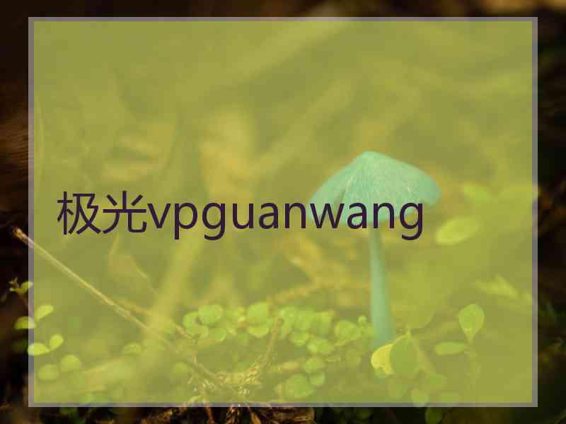 极光vpguanwang