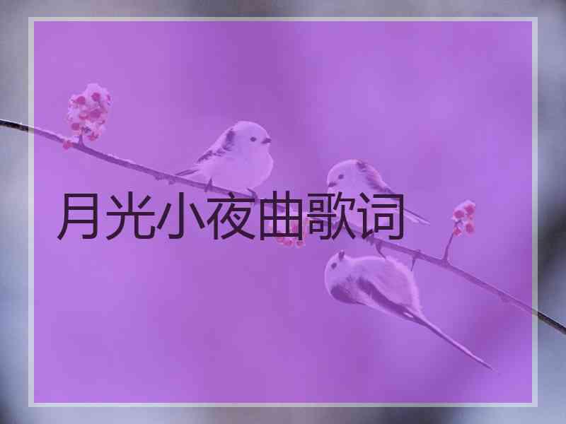 月光小夜曲歌词