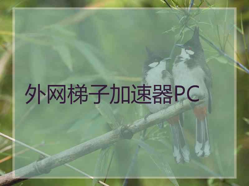 外网梯子加速器PC