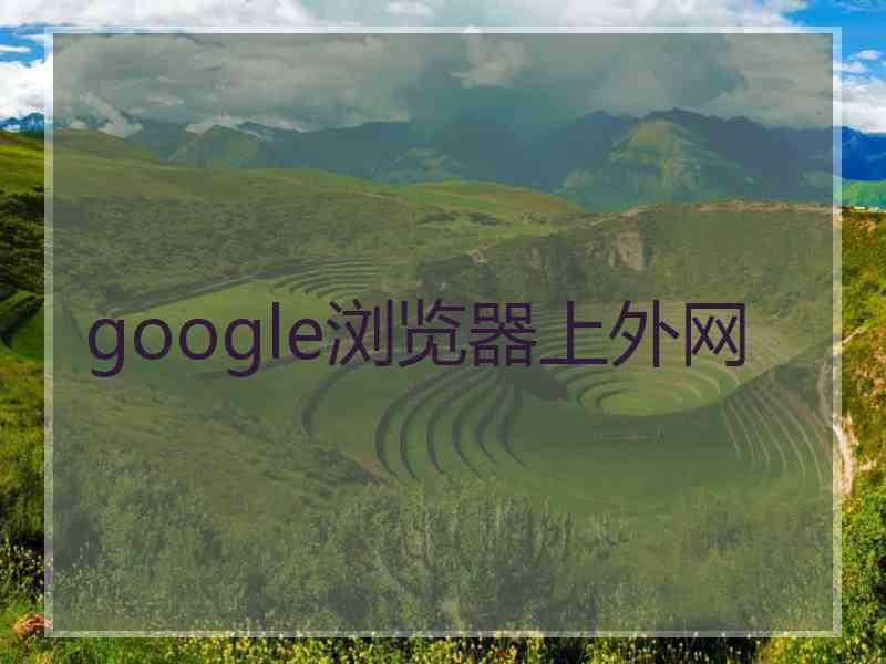 google浏览器上外网