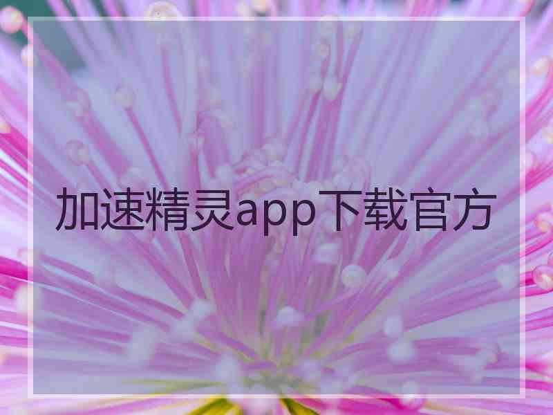 加速精灵app下载官方