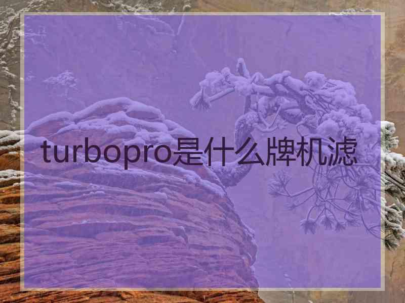 turbopro是什么牌机滤