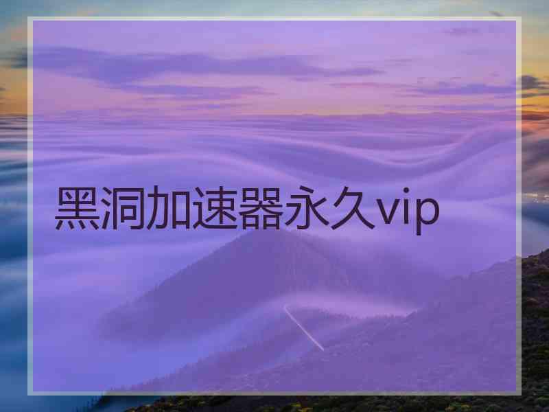 黑洞加速器永久vip