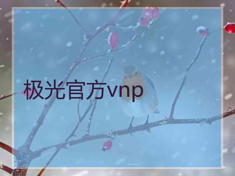 极光官方vnp