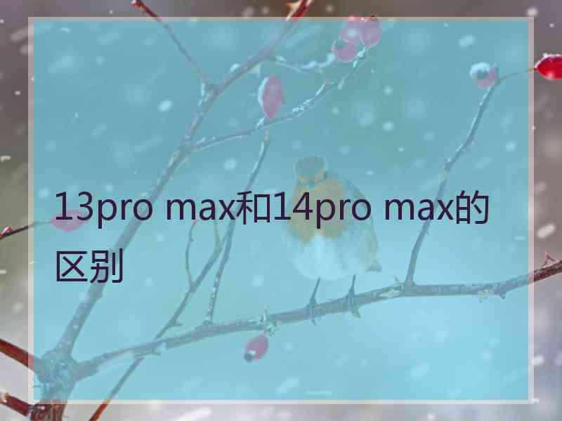 13pro max和14pro max的区别