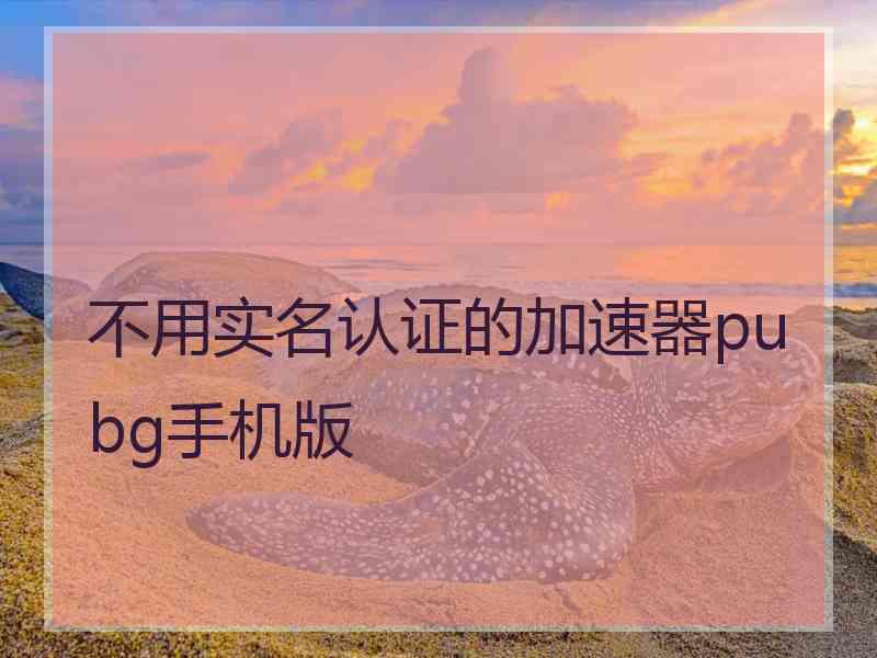 不用实名认证的加速器pubg手机版