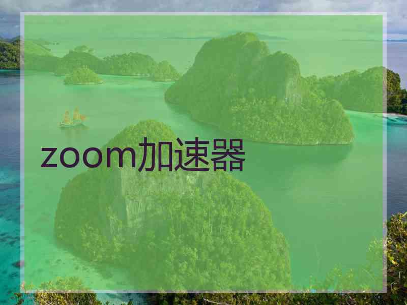 zoom加速器