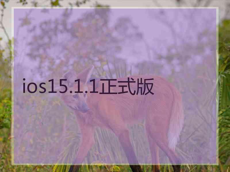 ios15.1.1正式版