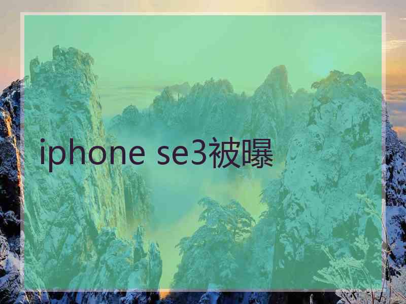 iphone se3被曝