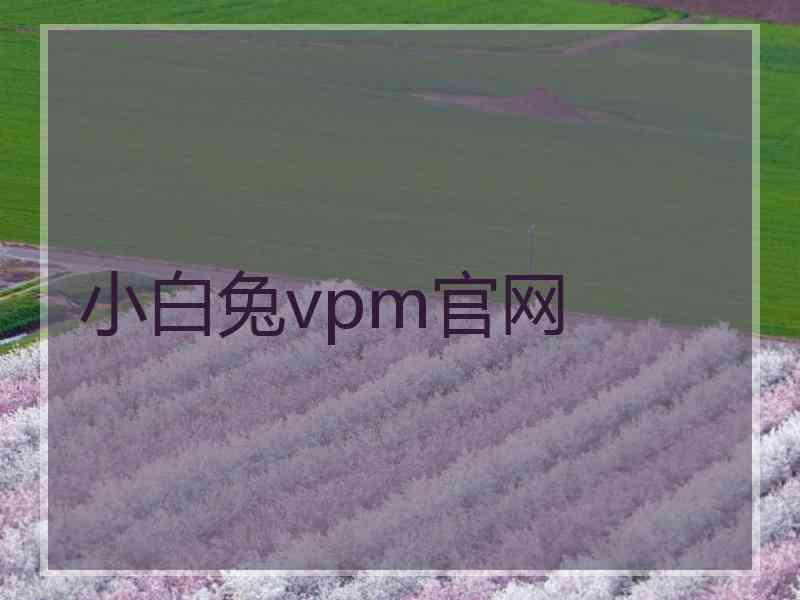 小白兔vpm官网