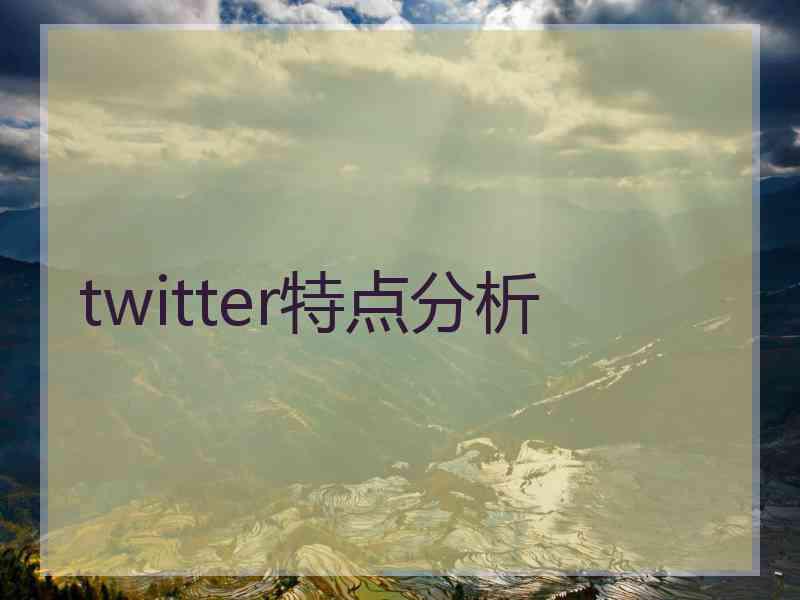 twitter特点分析