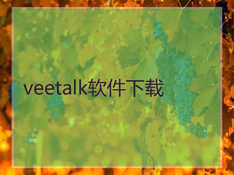 veetalk软件下载