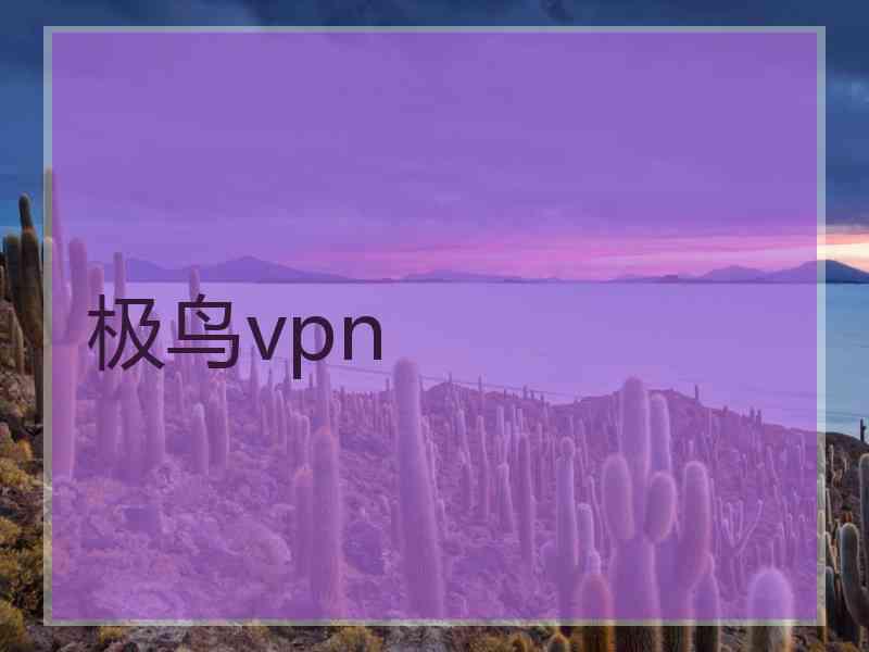 极鸟vpn