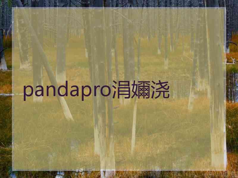 pandapro涓嬭浇