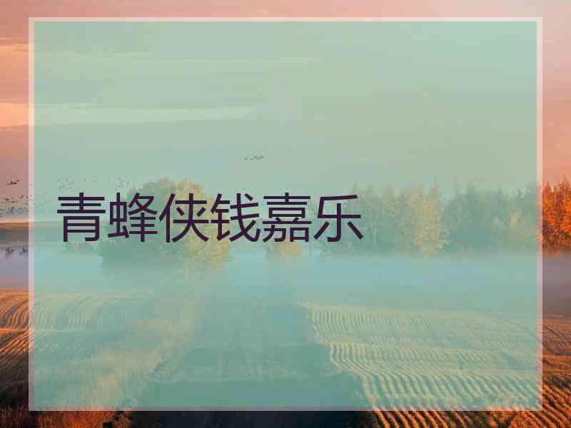 青蜂侠钱嘉乐